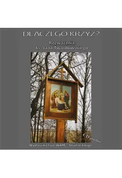 Dlaczego Krzyż?