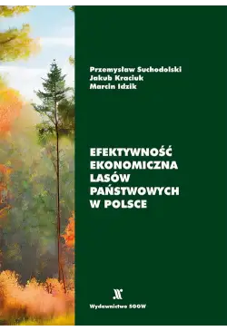 Efektywność ekonomiczna...
