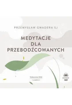 Medytacje dla przebodźcowanych