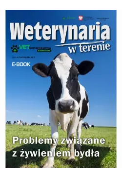 Problemy związane z...