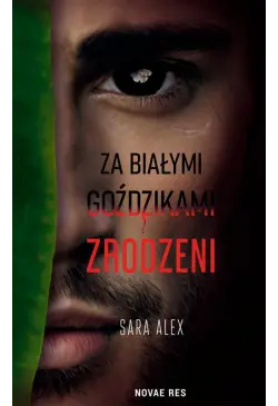 Za białymi goździkami....