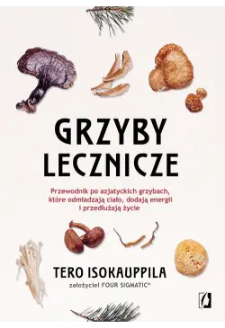 Grzyby lecznicze