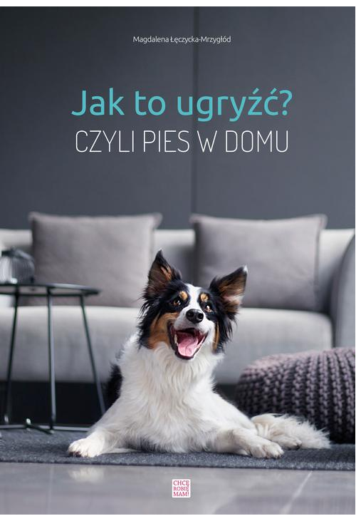 Jak to ugryźć? czyli pies w domu