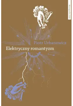Elektryczny romantyzm