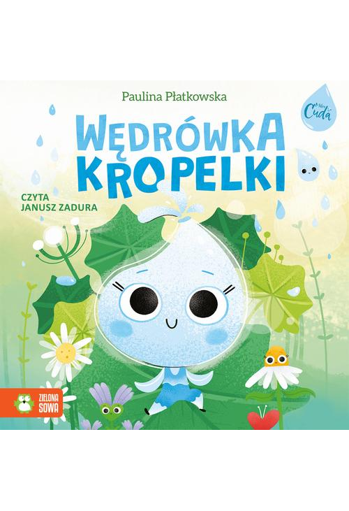 Wędrówka kropelki