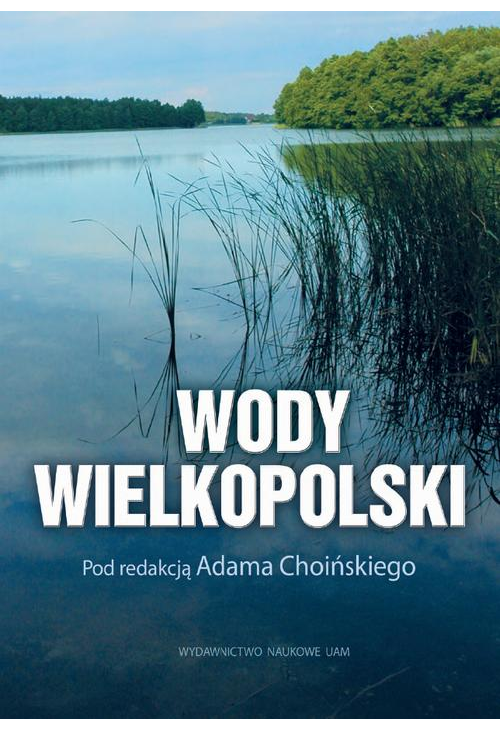 Wody Wielkopolski