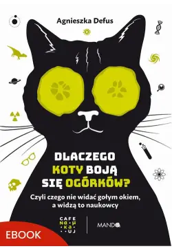 Dlaczego koty boją się...