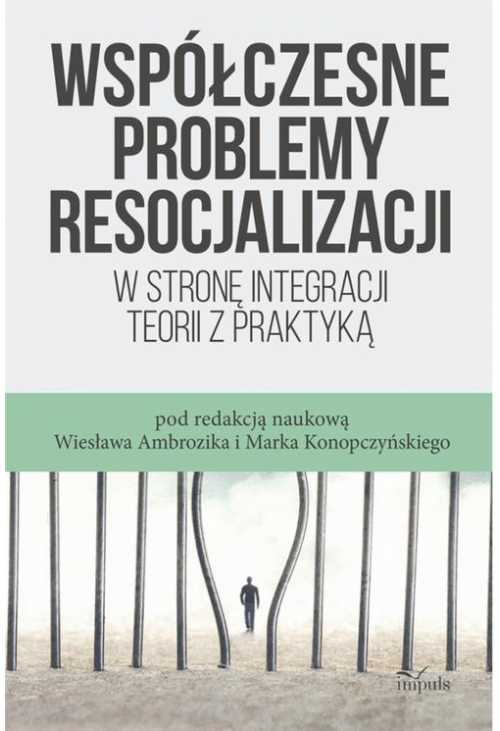 Współczesne problemy resocjalizacji