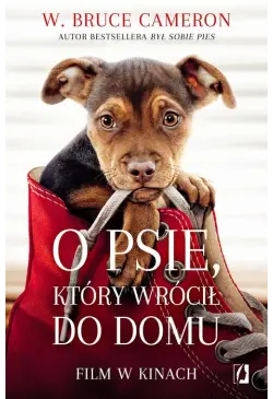 O psie, który wrócił do domu