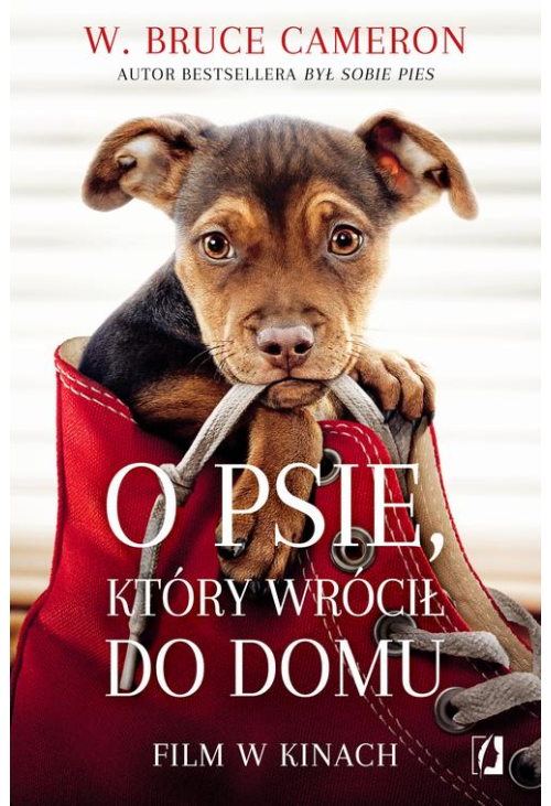 O psie, który wrócił do domu