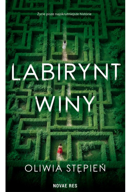 Labirynt winy