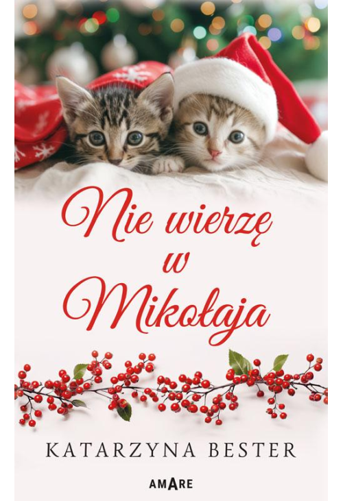 Nie wierzę w Mikołaja