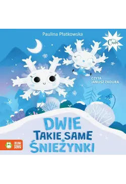 Dwie takie same śnieżynki