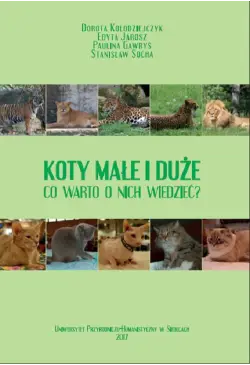 Koty małe i duże. Co warto...