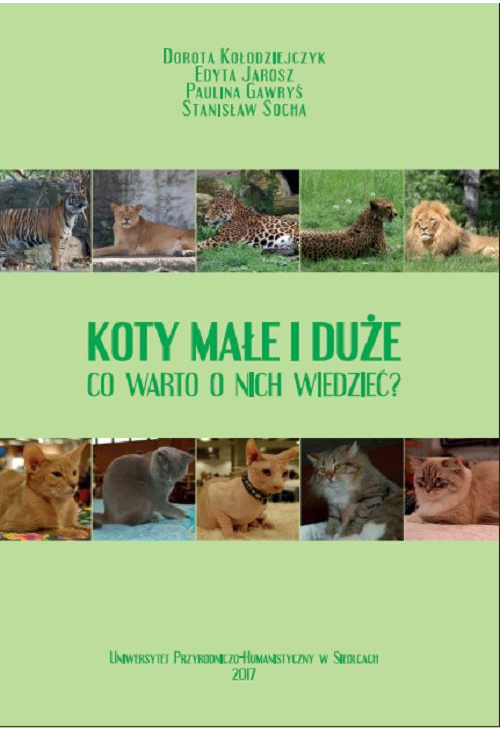 Koty małe i duże. Co warto o nich wiedzieć?