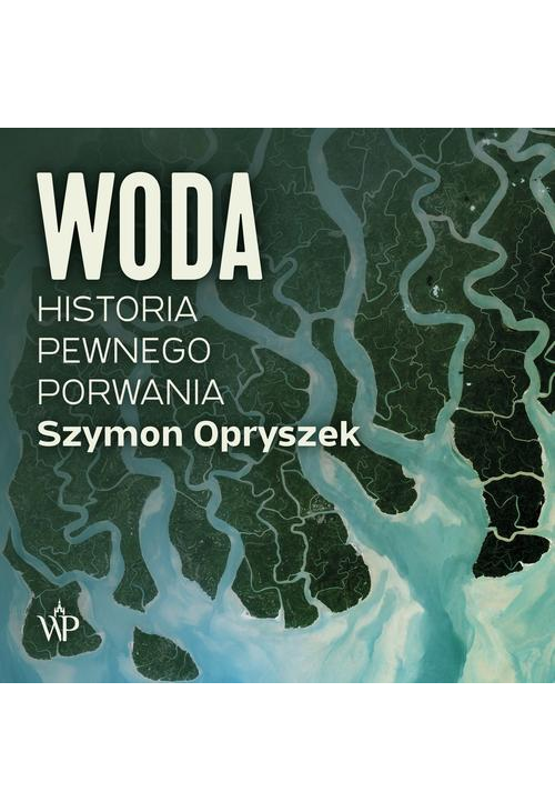 Woda. Historia pewnego porwania