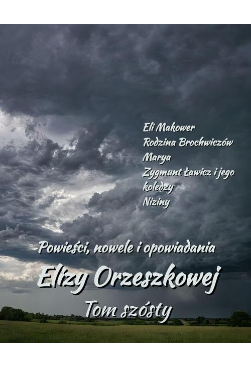 Powieści, nowele i opowiadania Elizy Orzeszkowej. Tom VI