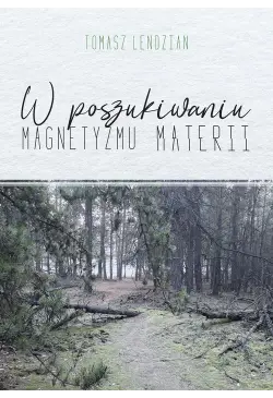 W poszukiwaniu magnetyzmu...
