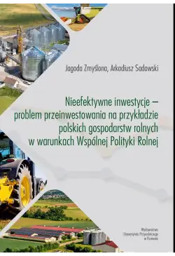 Nieefektywne inwestycje –...
