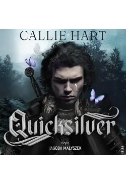 Quicksilver