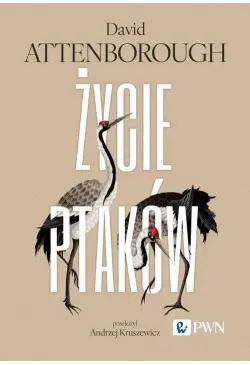 Życie ptaków