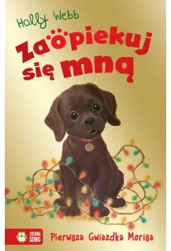 Pierwsza Gwiazdka Morisa