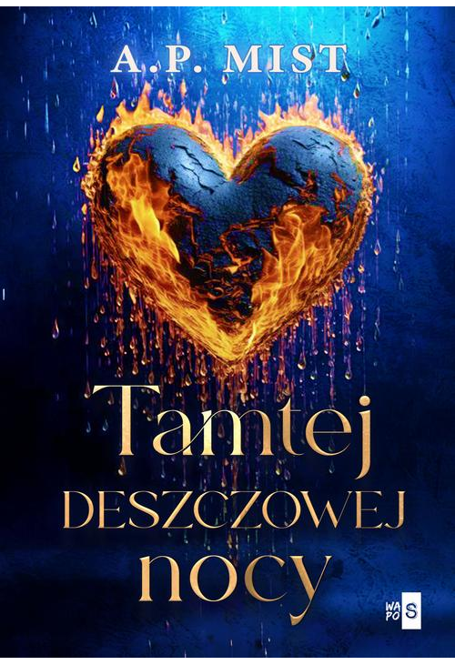 Tamtej deszczowej nocy