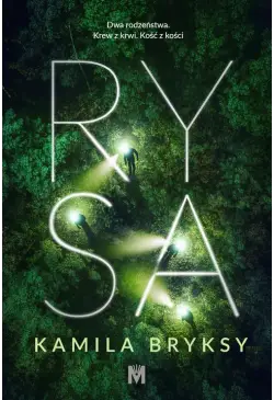 Rysa