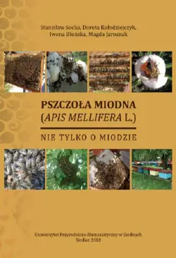 Pszczoła miodna (Apid...