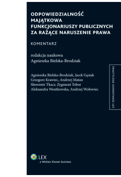 Odpowiedzialność majątkowa...