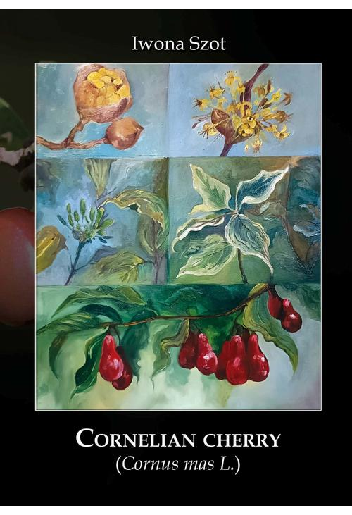 Cornelian cherry (Cornus mas L.)