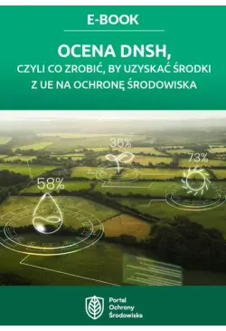 Ocena DNSH, czyli co...