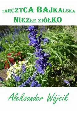 Tarczyca bajkalska – niezłe...