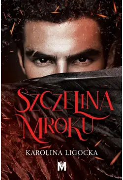Szczelina mroku