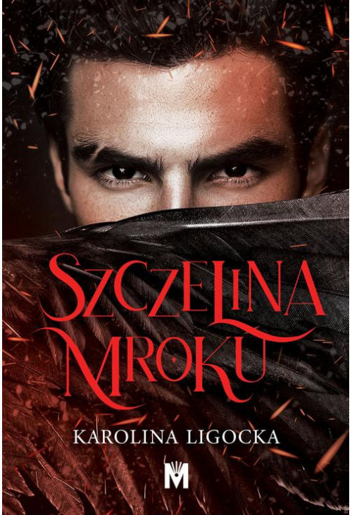 Szczelina mroku