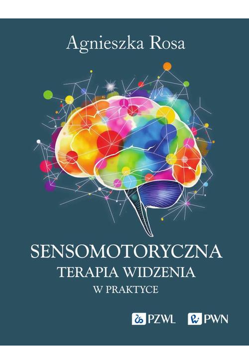 Sensomotoryczna Terapia Widzenia w praktyce
