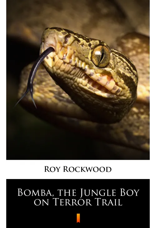 Bomba, the Jungle Boy on Terror Trail