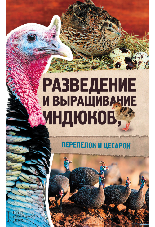 Разведение и выращивание индюков, перепелок и цесарок
