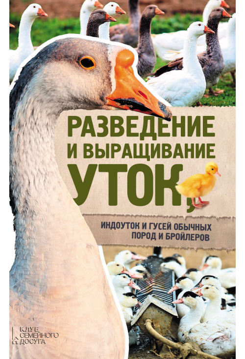 Разведение и выращивание уток, индоуток и гусей обычных пород и бройлеров