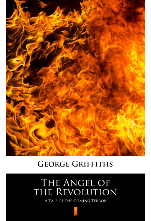 The Angel of the Revolution