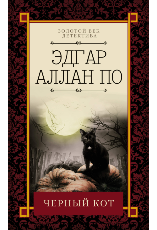 Черный кот