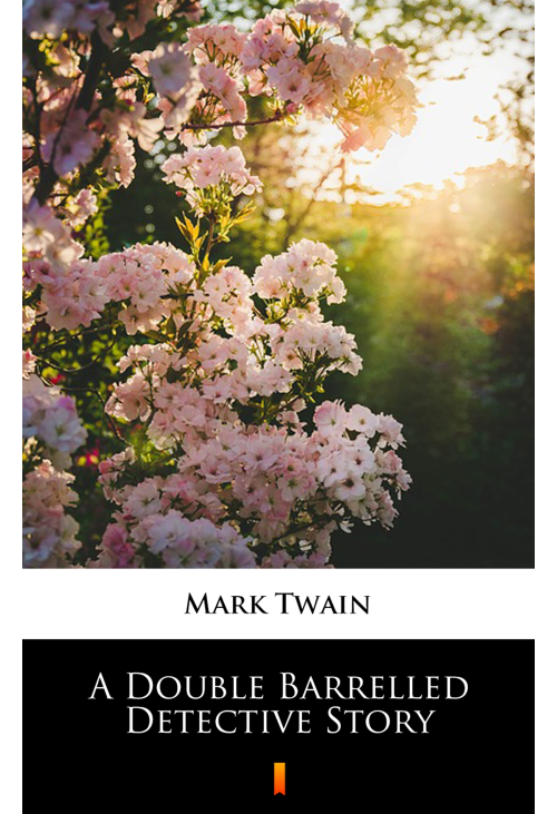 A Double Barrelled Detective Story
