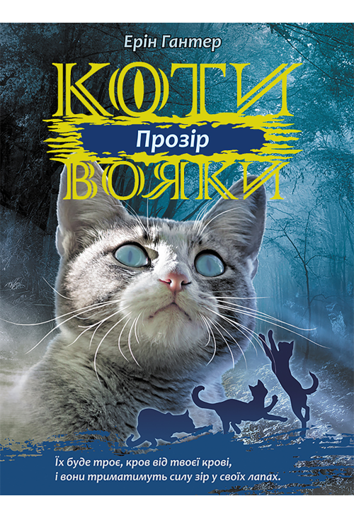 Прозір