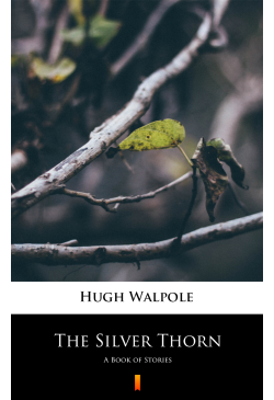 The Silver Thorn