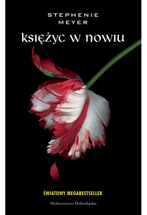 Księżyc w nowiu