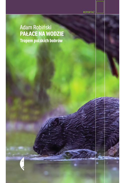 Pałace na wodzie