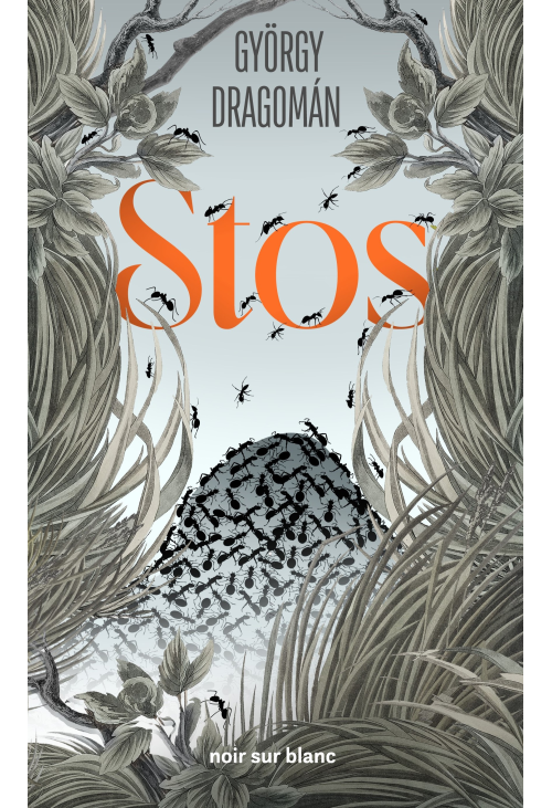 Stos