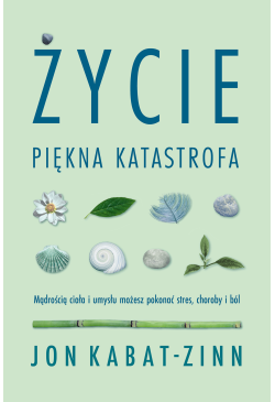 Życie. Piękna katastrofa