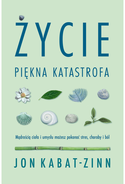 Życie. Piękna katastrofa
