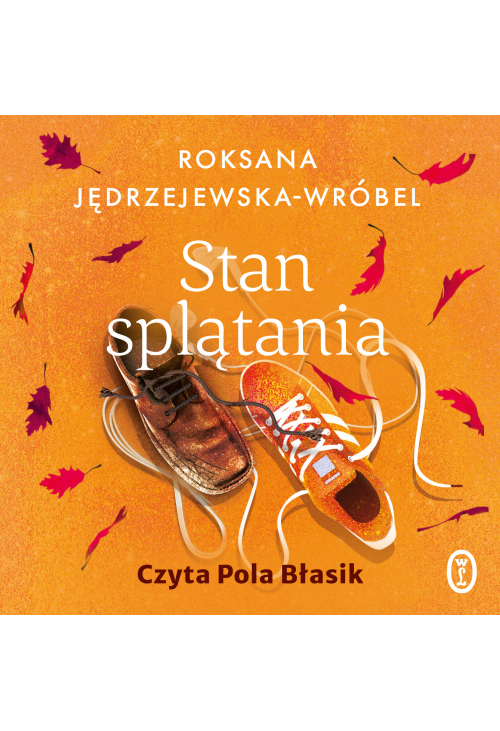 Stan splątania
